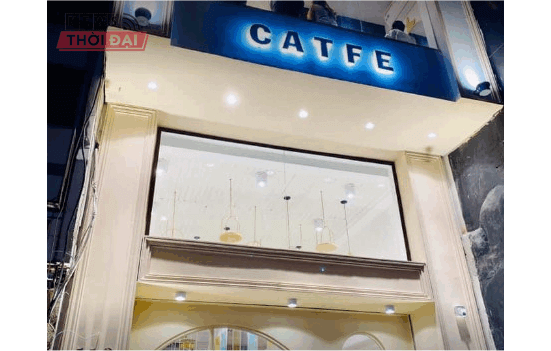 cafe-thu-cung-tphcm