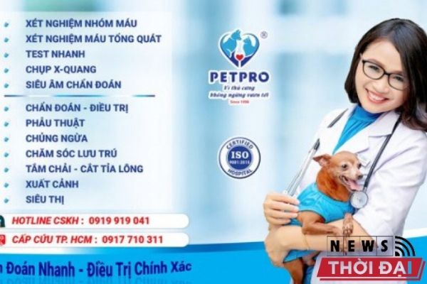 Phòng khám Thú y quận Bình Tân - Pet Pro 4 