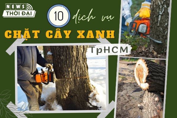 Top 10 Dịch Vụ Chặt Cây Xanh TPHCM Uy Tín Nhất