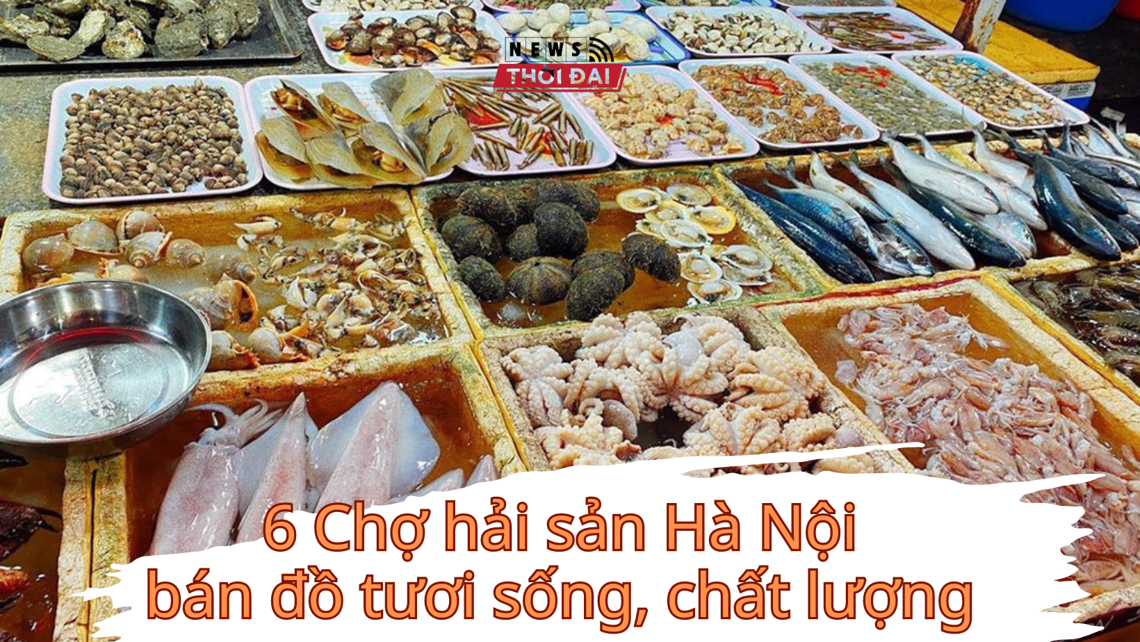 6 chợ Hải sản Hà Nội bán đồ tươi sống, chất lượng