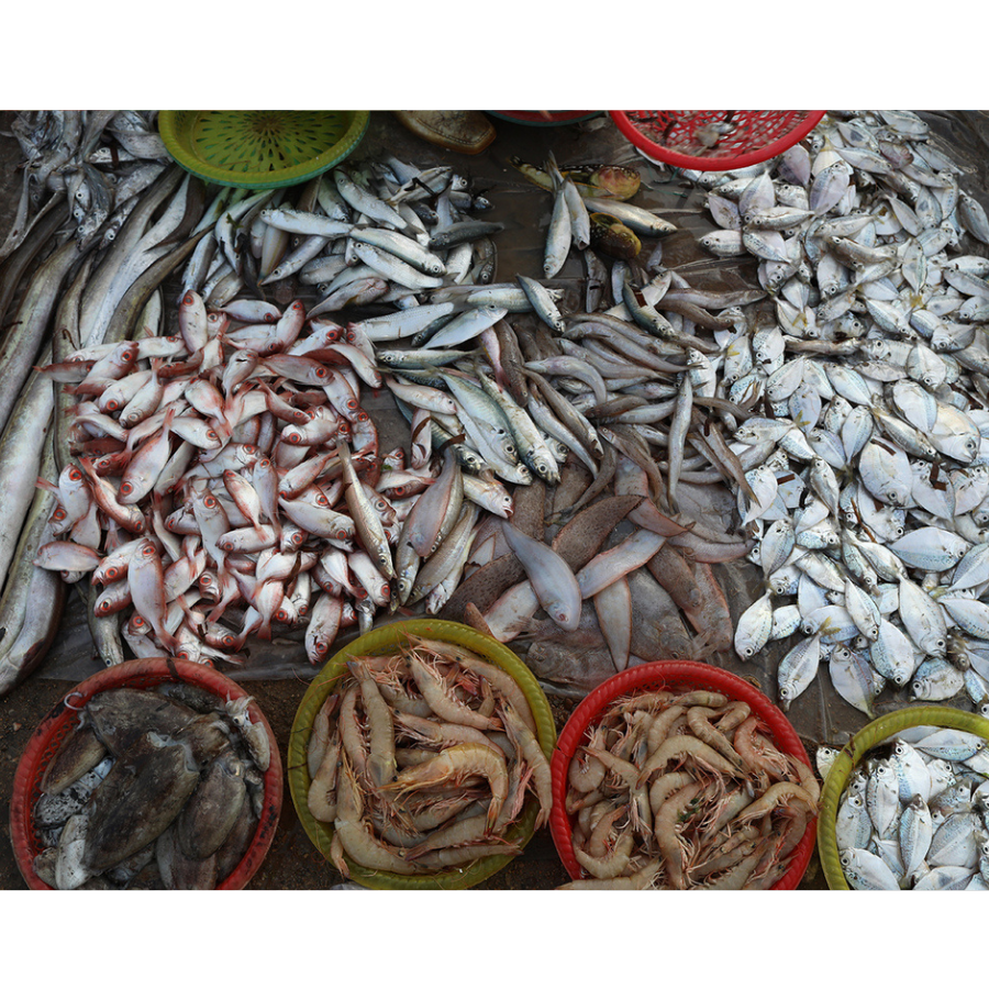 chợ hải sản hà nội