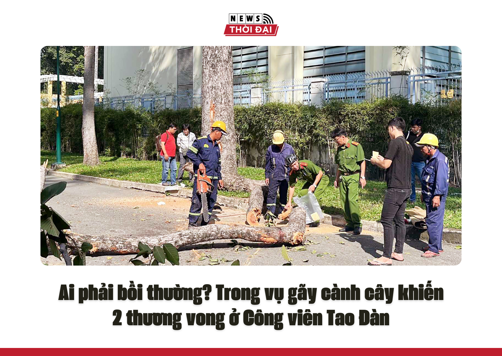 Ai phải bồi thường? Trong vụ gãy cành cây khiến 2 người chết ở Công viên Tao Đàn