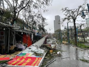 Siêu bão Yagi - 